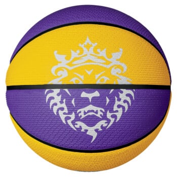 lebron james outdoor basketball